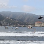 2017_Catalina_11