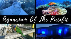 aquarium-of-the-pacific-long-beach
