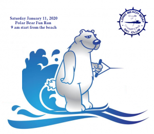 2020 polar bear